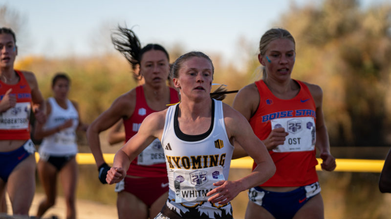 Cross country looks for success amongst experienced roster